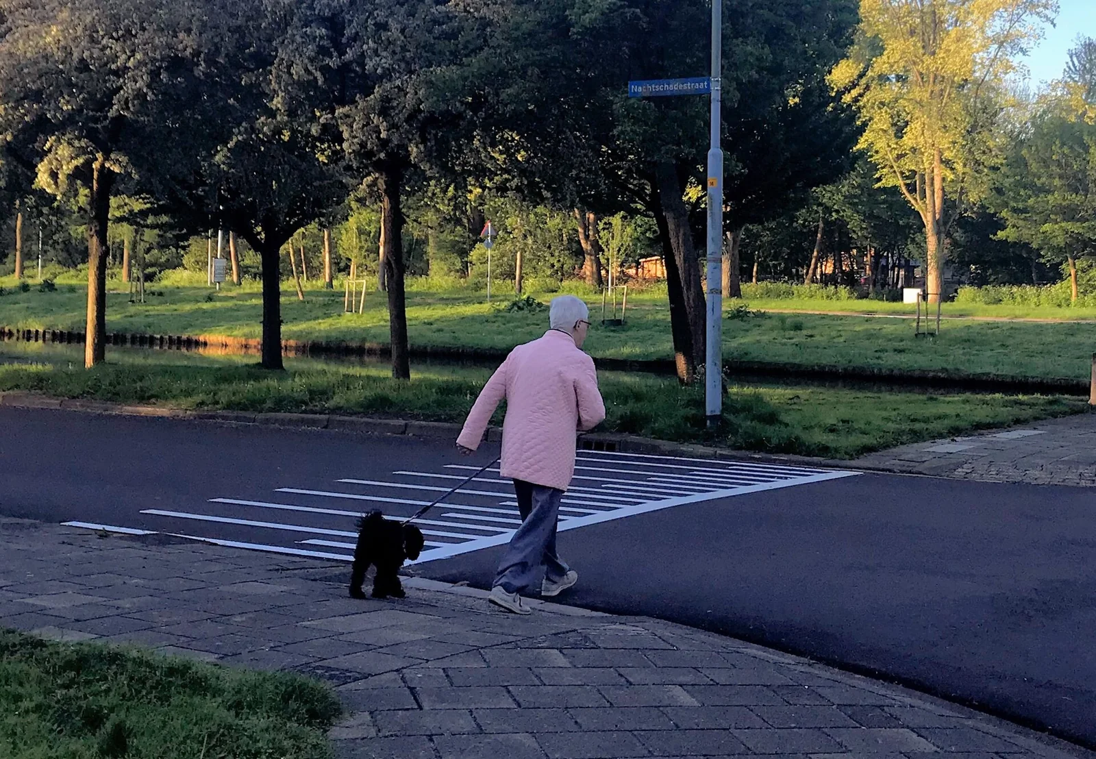 The Chongqing Car Photos: An Old Dog Story With an Unproven Motive