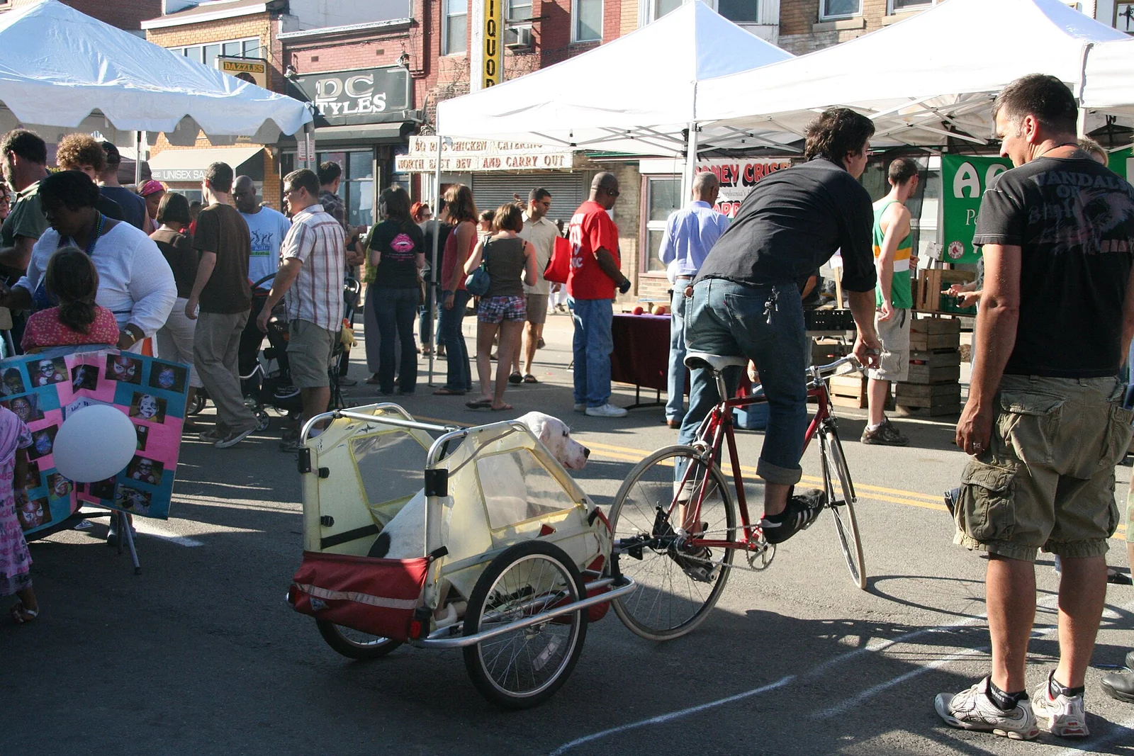 Cyclist towing a dog in a pet trailer through a busy pedestrian event