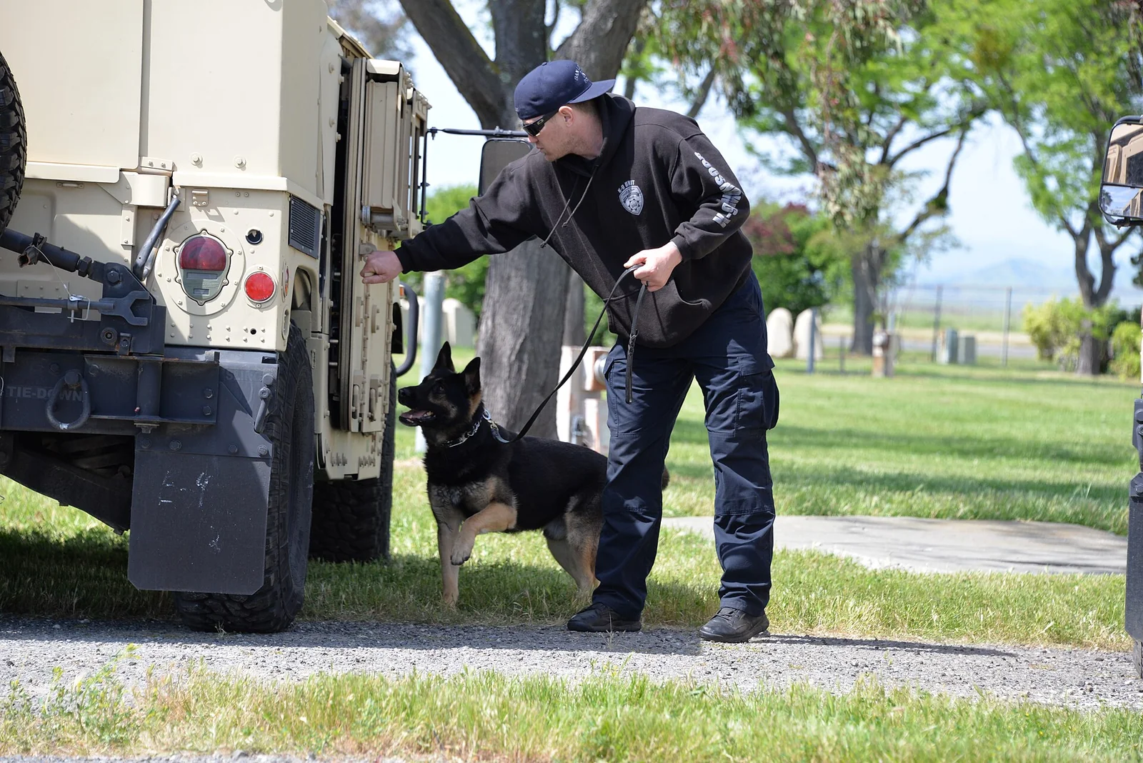 Medical Detection Dogs: What the Nose Can Tell Us, and What It Cannot