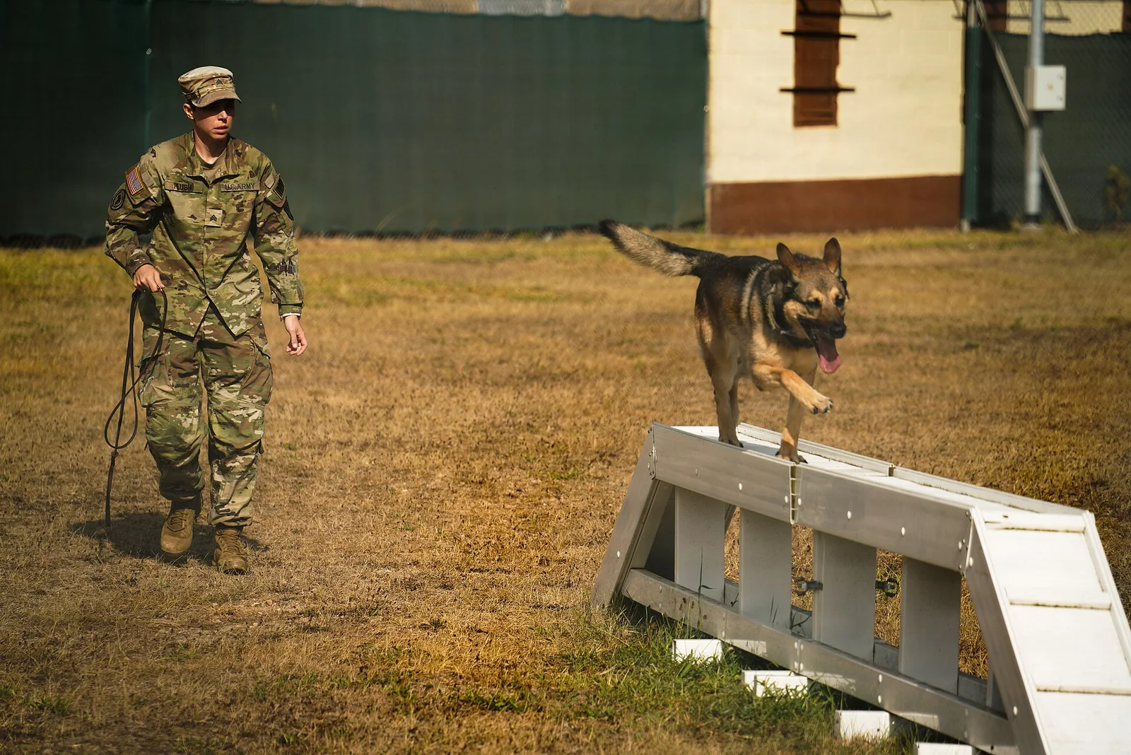 The Indian Army’s Dog Parachute Clip Shows a Specialist Team at Work