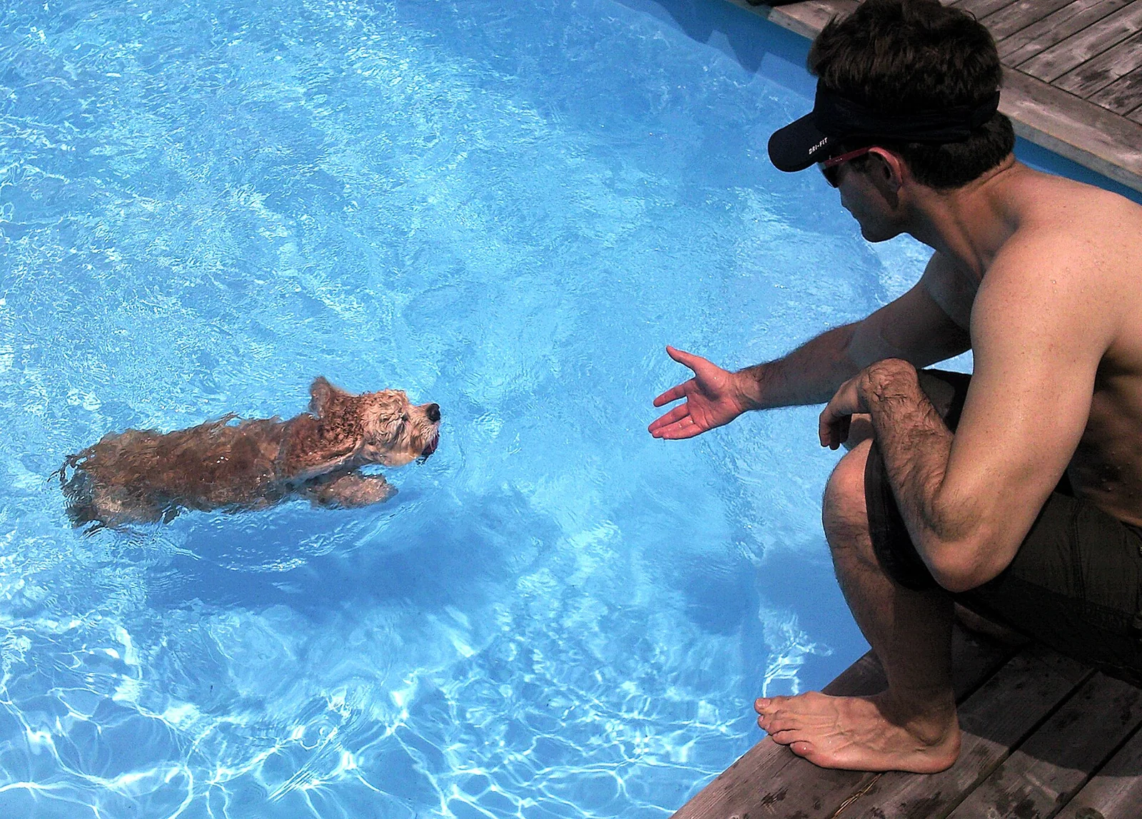 Brooke and Clifford’s Rescue Update Turns Toward Rehabilitation