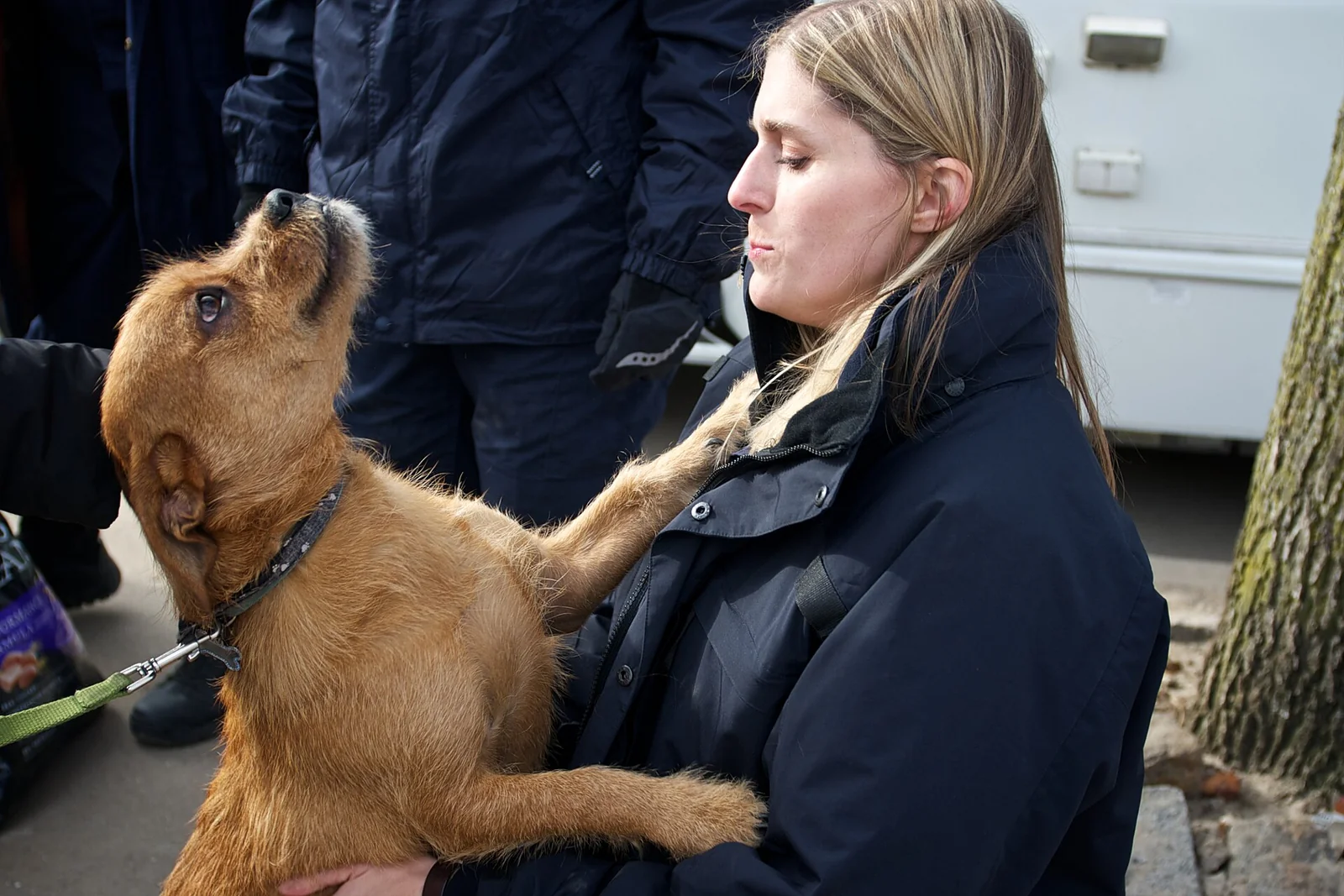 A Roadside Rescue Kept Two Frightened Dogs Company Until Help Arrived