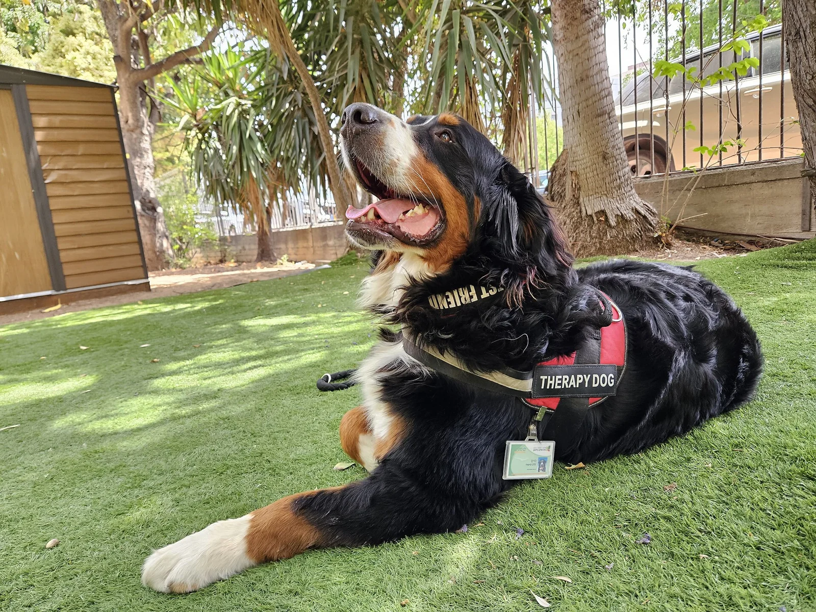 Ratan Tata’s Animal-Welfare Legacy: From Concern to a Hospital