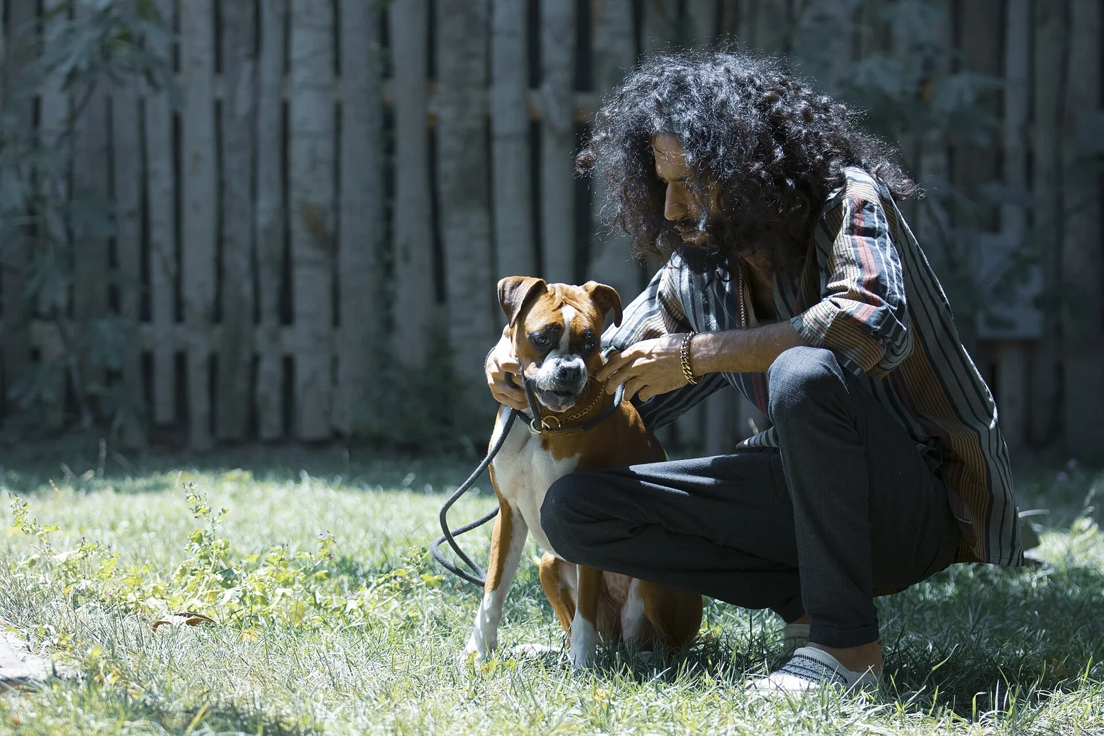 A Toddler Napping Beside a Dog Is Not a Safety Test