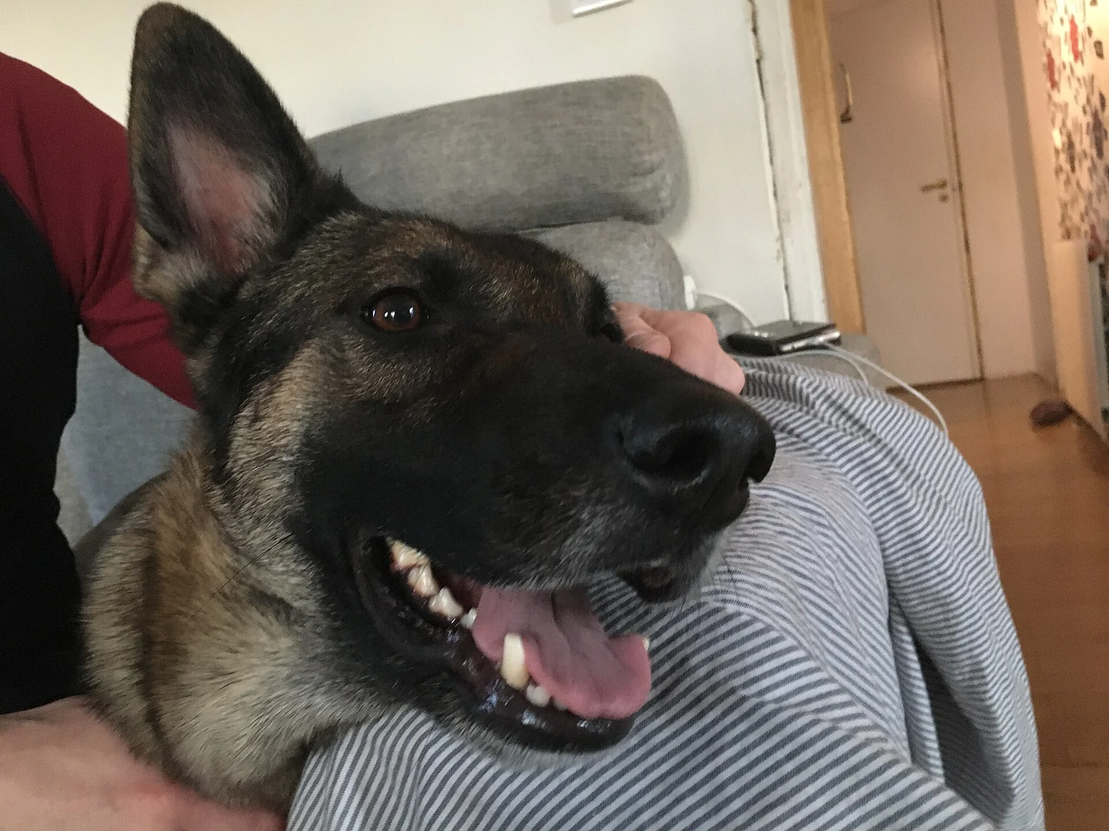 Hero’s New Home Came With Room to Settle In