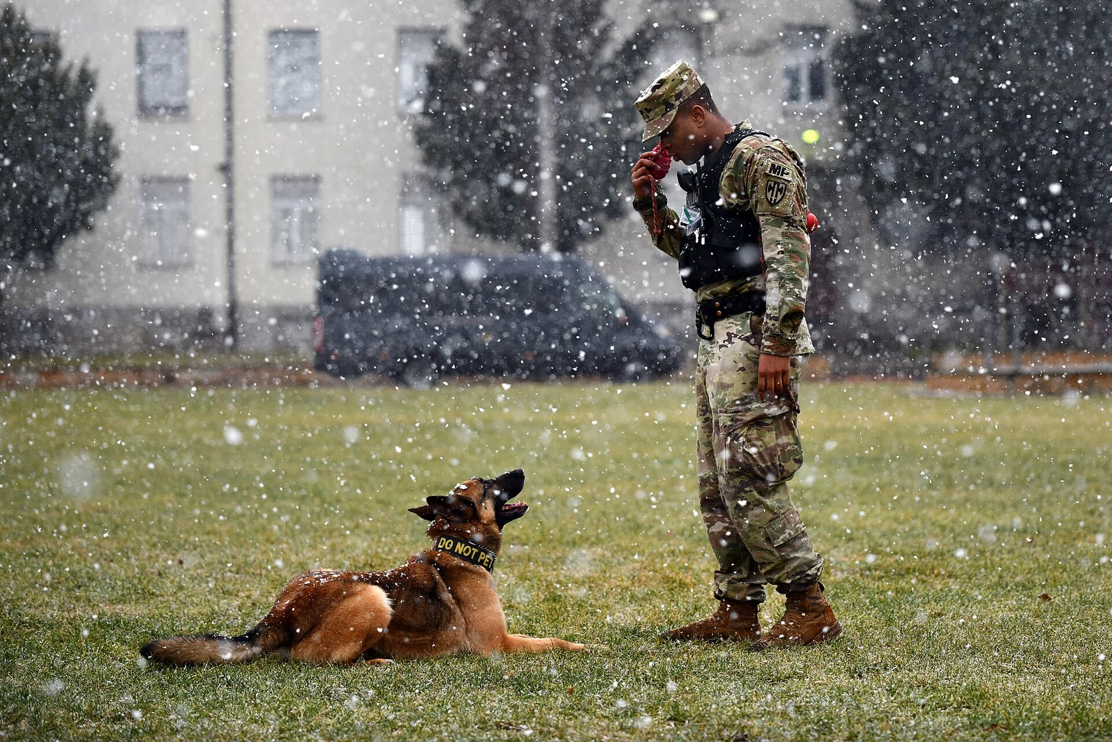 Listen While You Train: Reading Your Dog’s Side of the Conversation