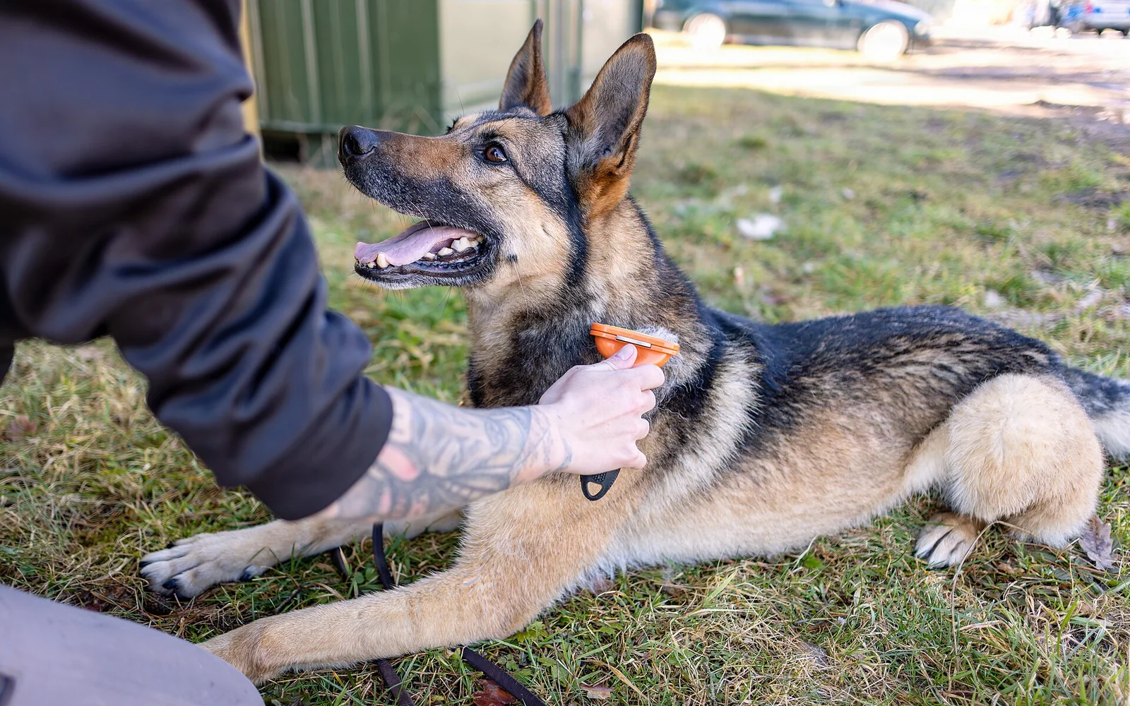 Lazarus’s 2016 Rescue Was About More Than a Haircut