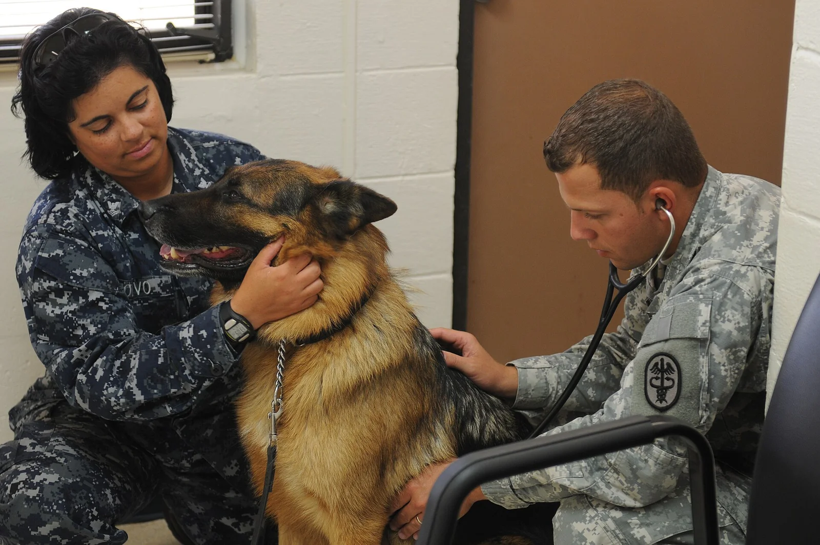 Your Puppy’s First Vet Visit: What to Bring and What to Ask