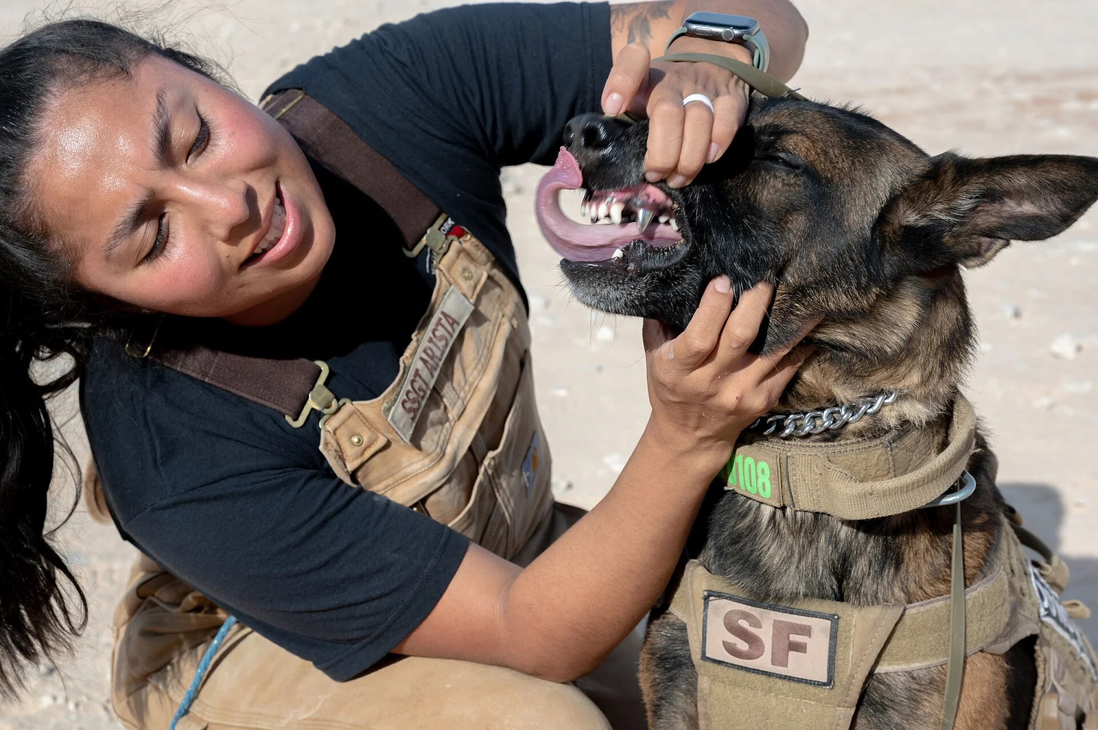 Can Homemade Dog Treats Really Clean Teeth?